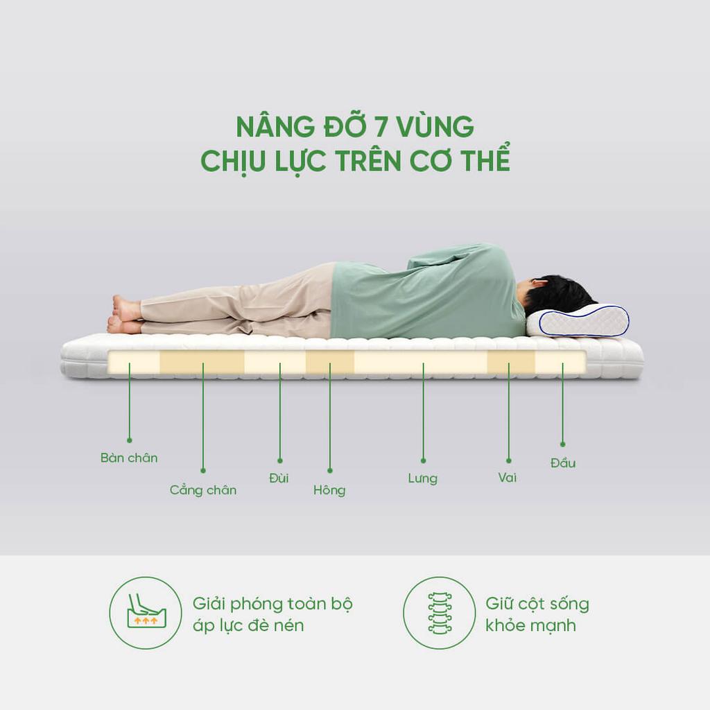 Mặt cắt cao su thiên nhiên Gummi — đàn hồi tự nhiên, kháng khuẩn.
