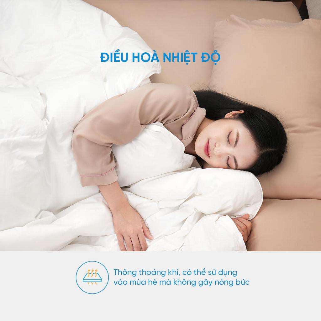 Kích thước phổ biến 200×220 (~3kg) — cân bằng giữa ấm và nhẹ.