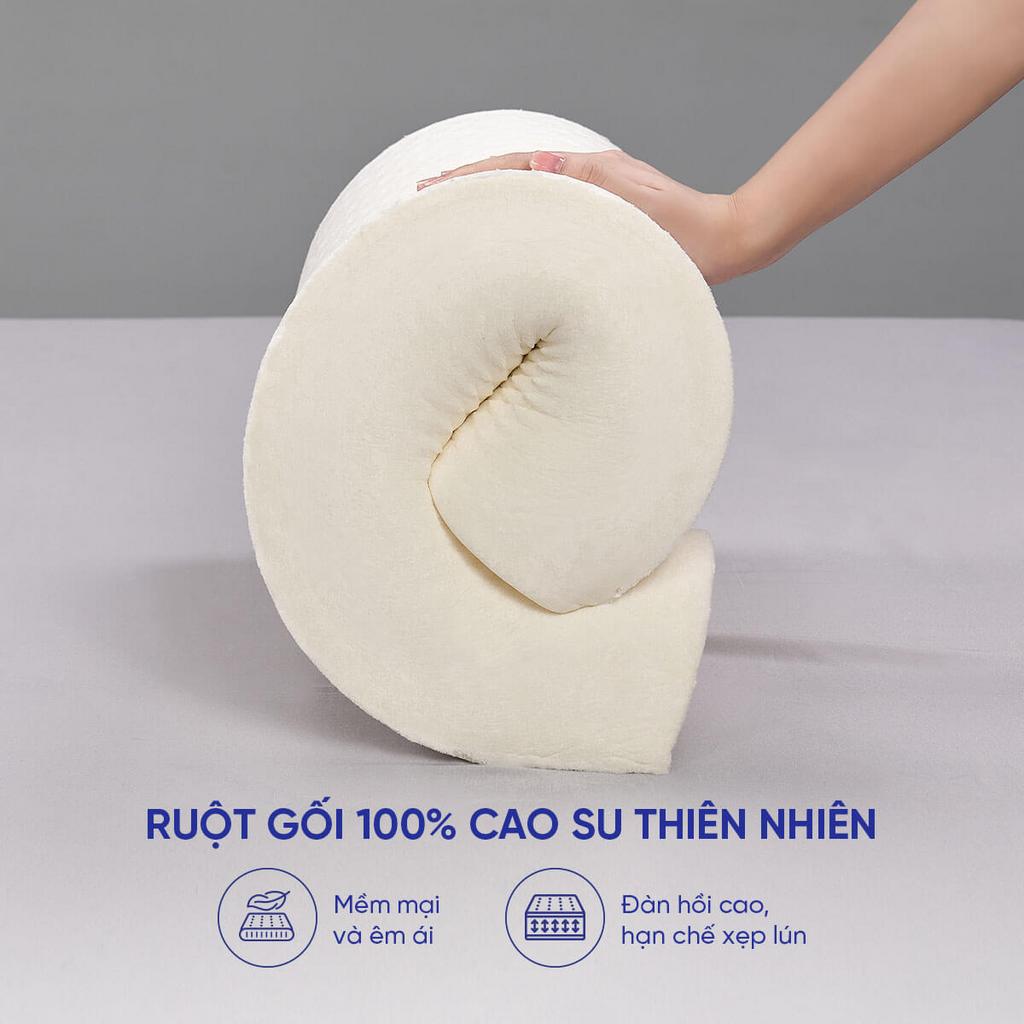 Gối cao su Gummi Purin 100% thiên nhiên công thái học