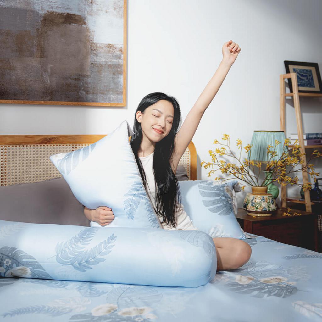 Minh họa các tính năng chính của Amando Bliss TC004.