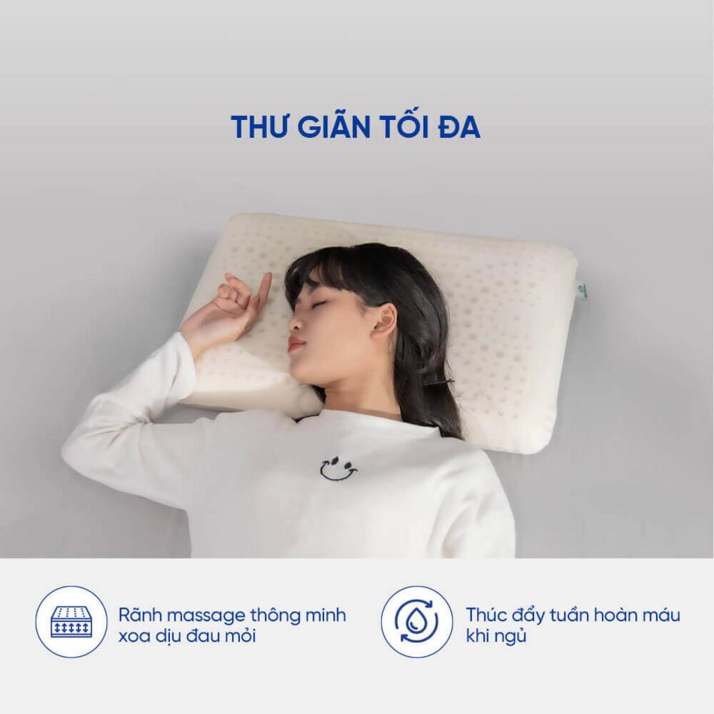 Gối cao su Gummi Evora 100% thiên nhiên massage thoáng khí