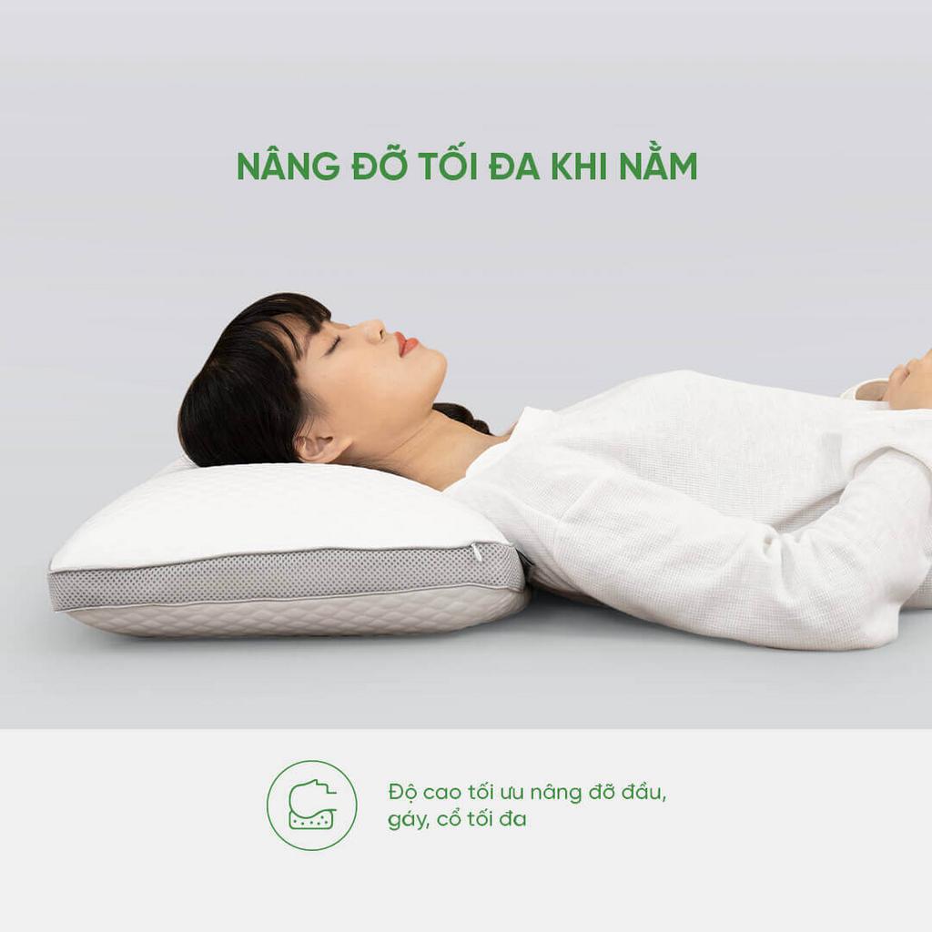 Gối cao su Gummi Standard: thiết kế thoáng mát, đàn hồi tự nhiên.
