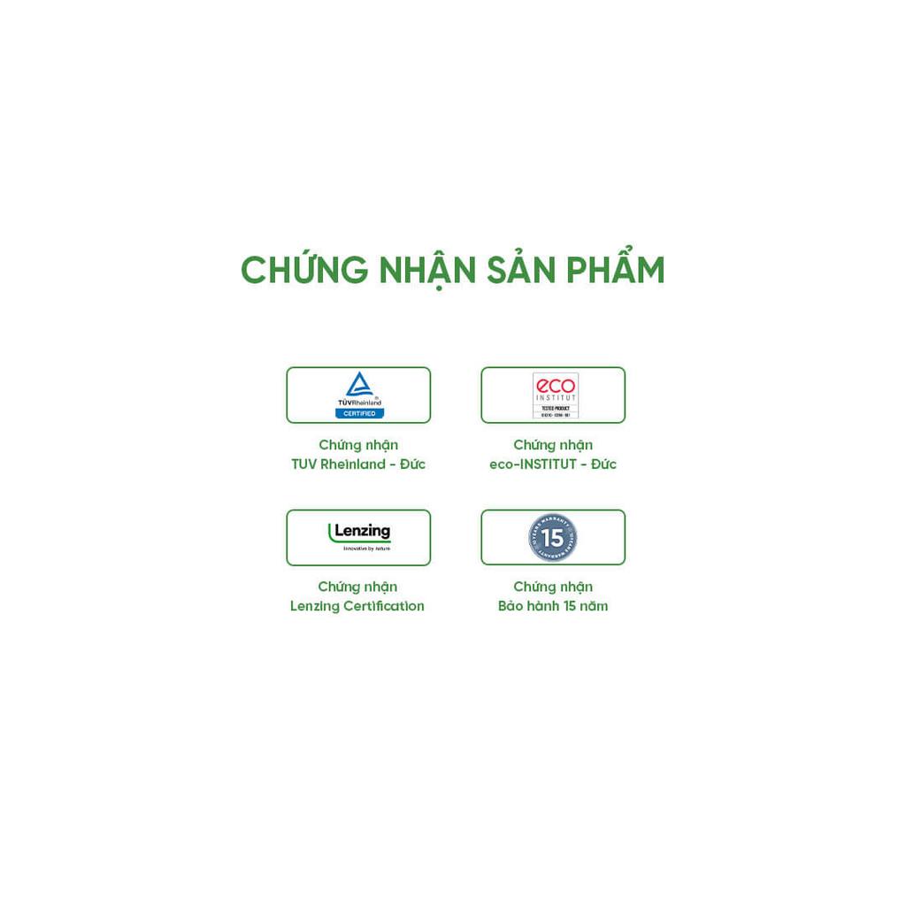 Nệm cao su Gummi 7zones 12cm — Thiết kế thoáng mát, nâng đỡ 7 vùng, phù hợp khí hậu Việt Nam.