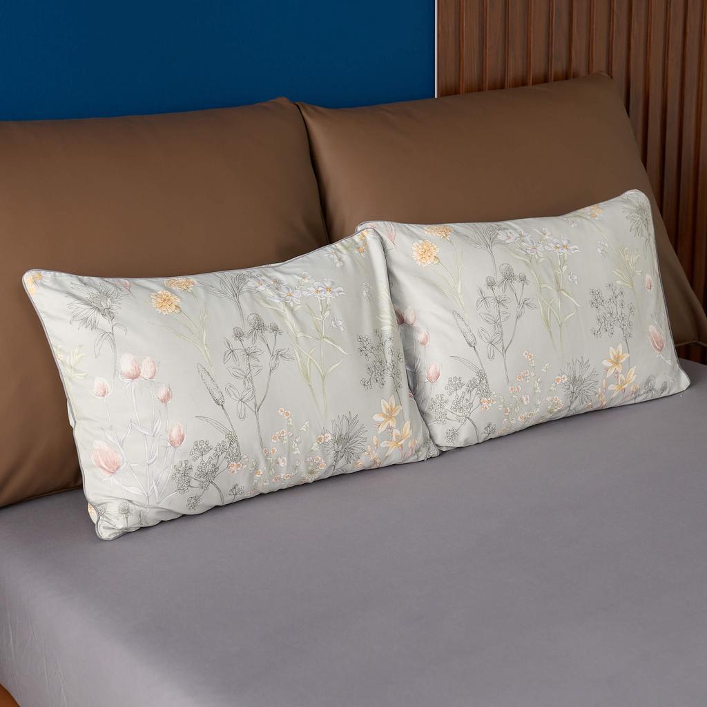 Vỏ gối Amando Comfort Cotton Select — mềm mượt, sáng bóng nhờ dệt satin, phù hợp cho giấc ngủ hàng ngày.