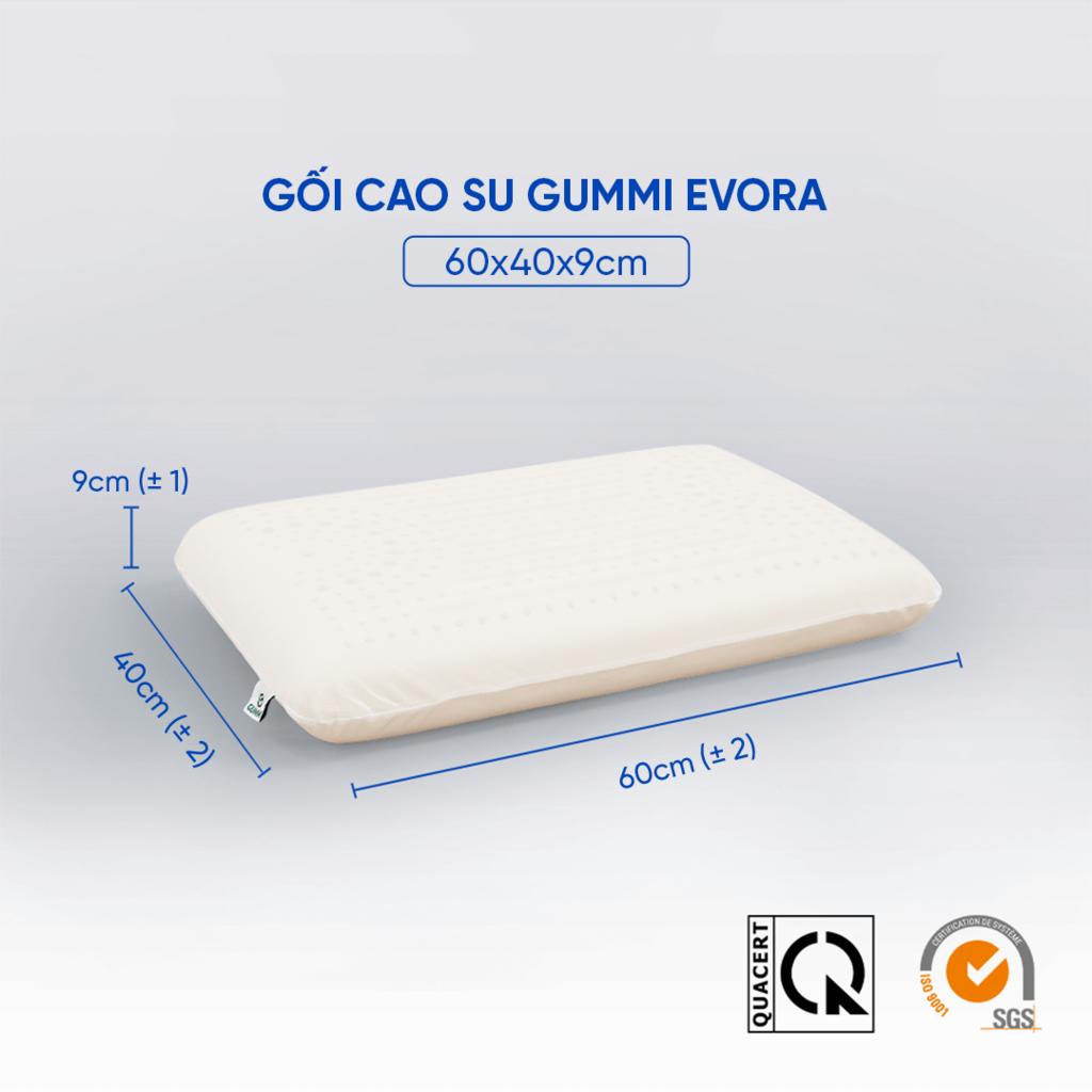 Gối cao su Gummi Evora 100% thiên nhiên massage thoáng khí