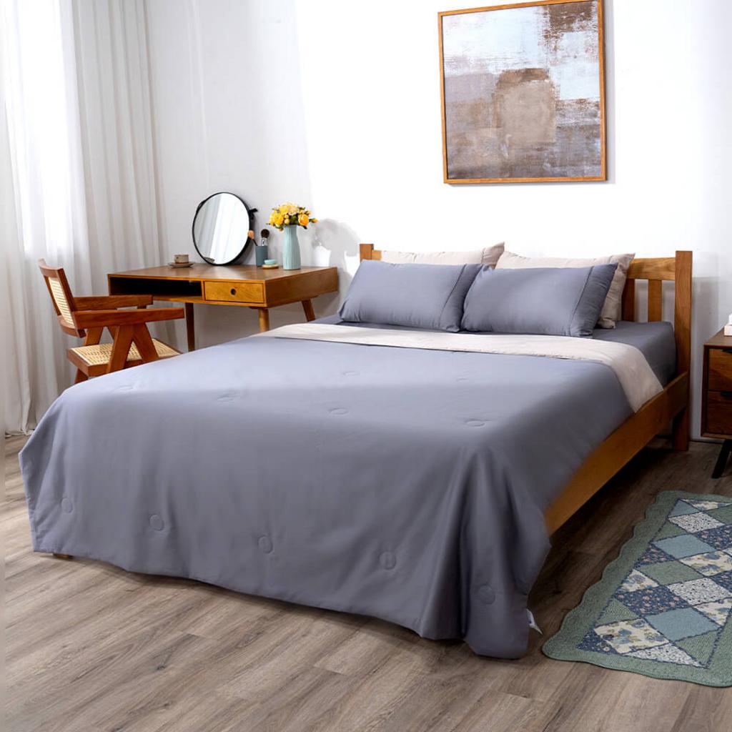 Chăn chần Cotton satin AMD The Essentials Đơn Sắc