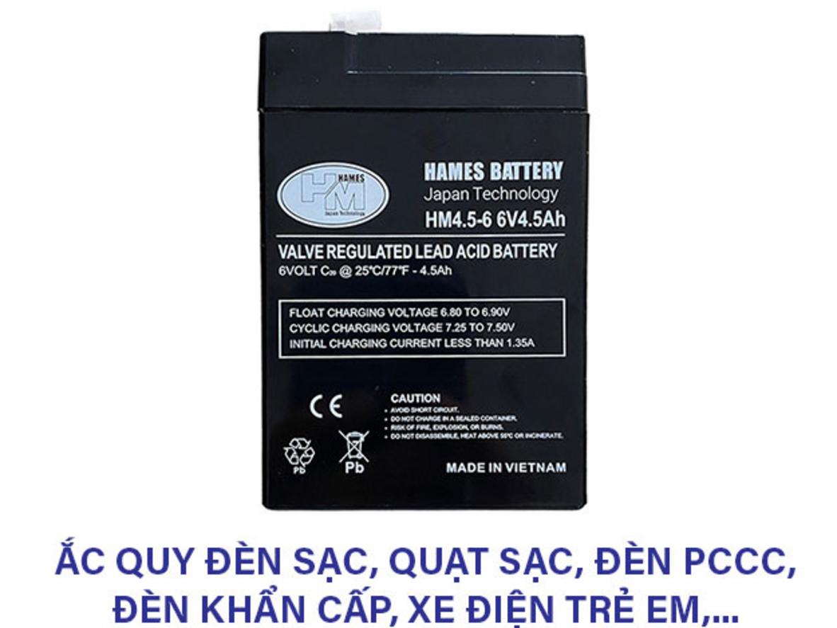 AGM (Absorbent Glass Mat) — kín khí, an toàn, không cần châm nước.