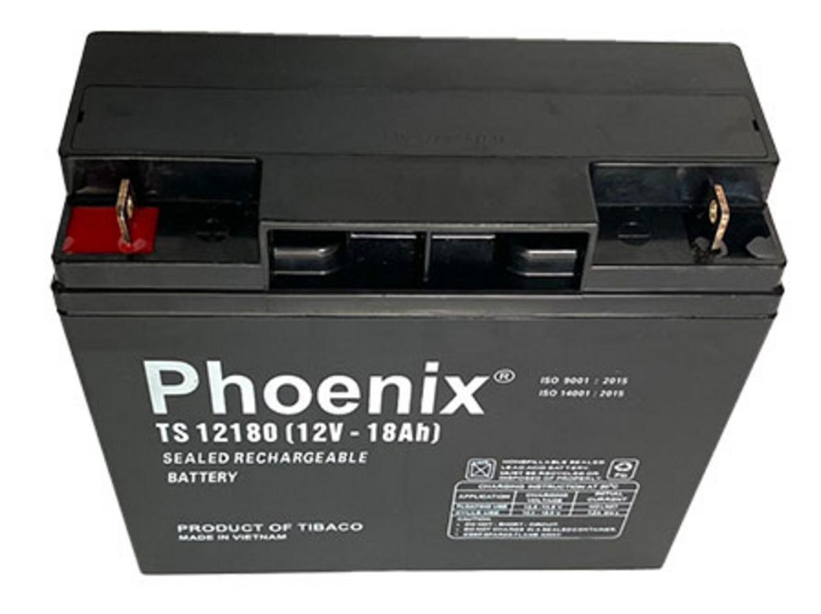 Ảnh thực tế Ắc quy Phoenix TS12180 — hộp & tem chính hãng.