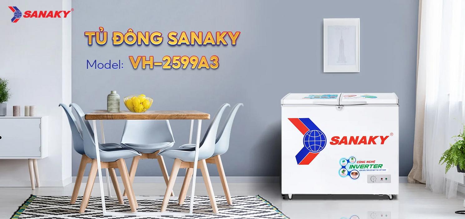Tổng quan Tủ Đông Sanaky VH-2599A3