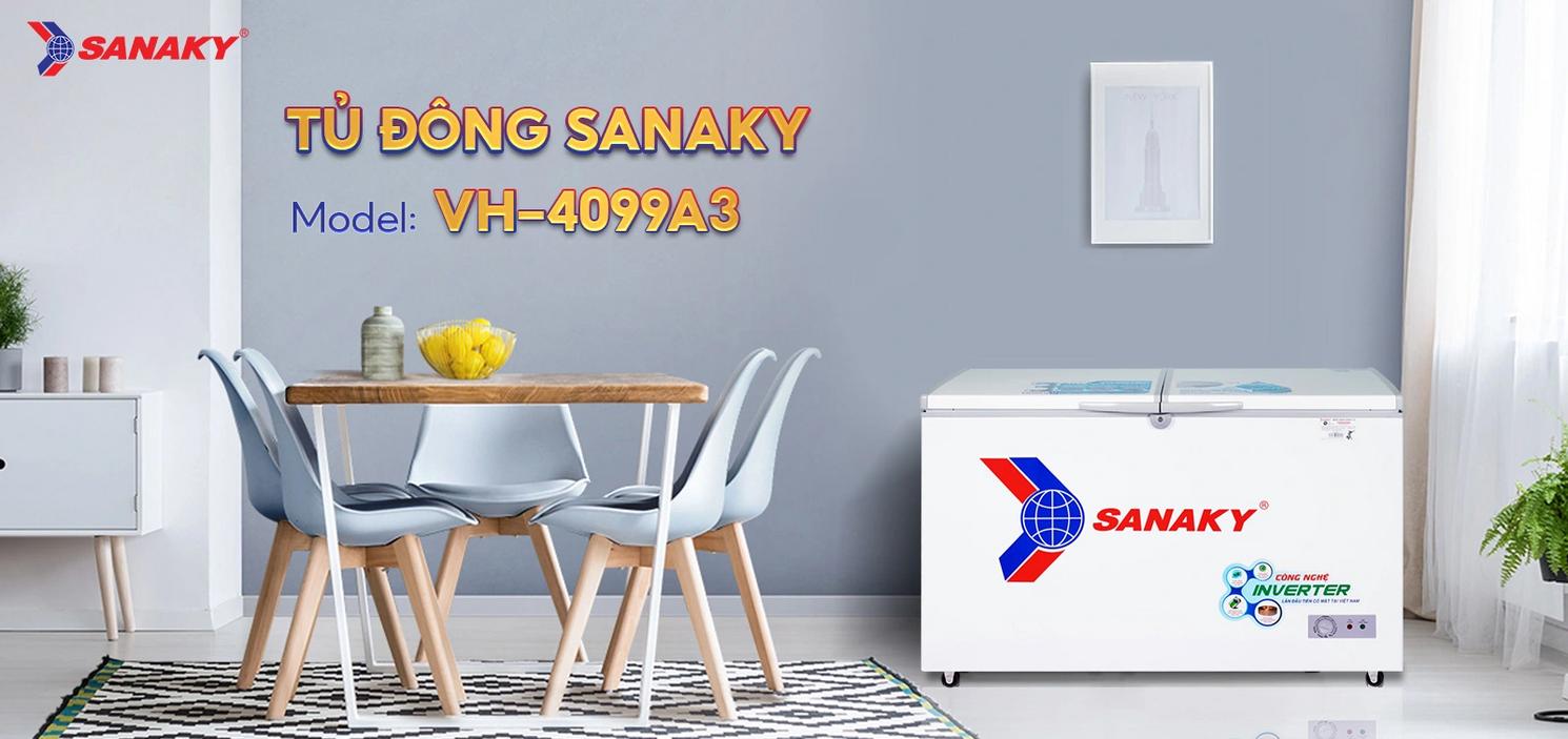Tổng quan Tủ Đông Sanaky VH-4099A3