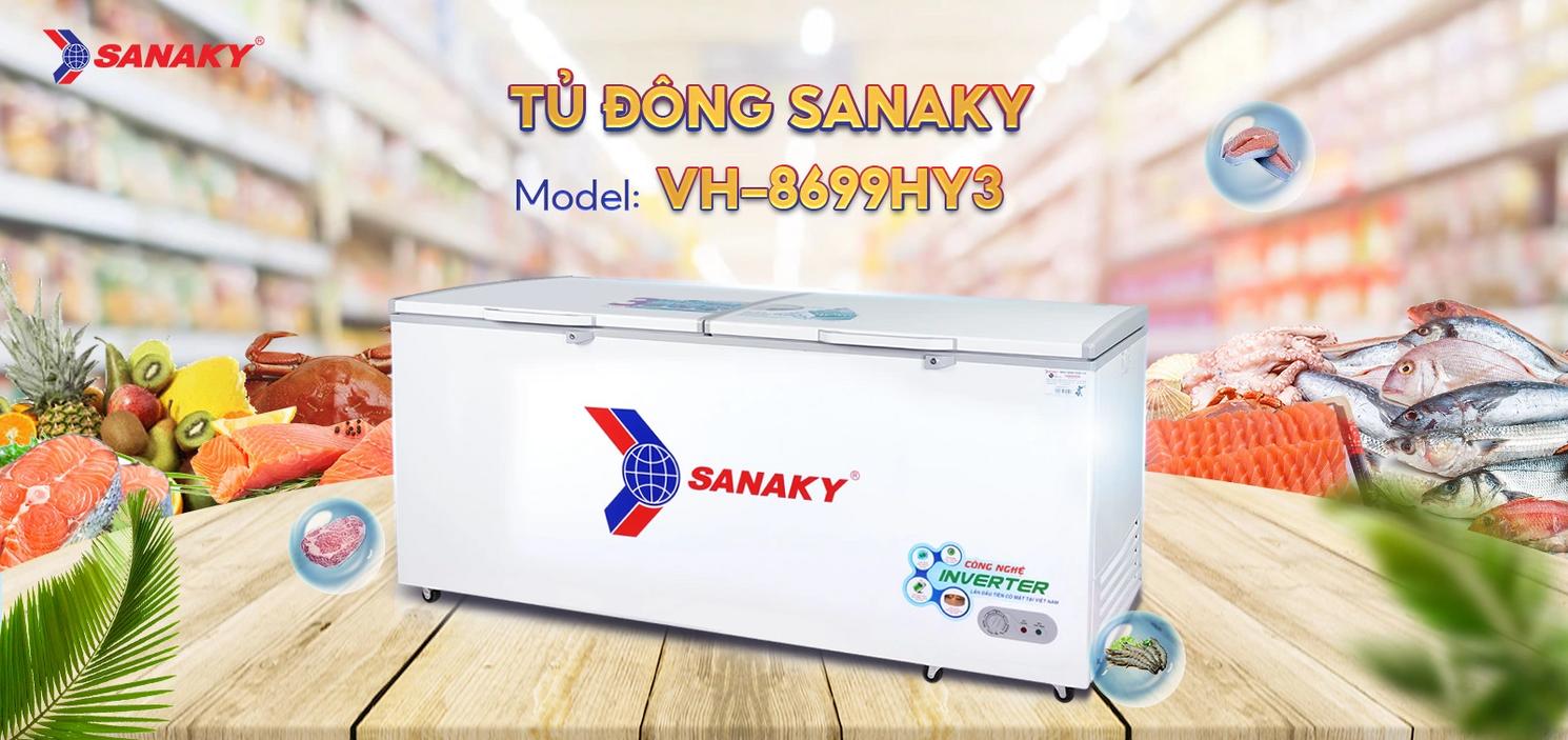 Tổng quan Tủ Đông Sanaky VH-8699HY3