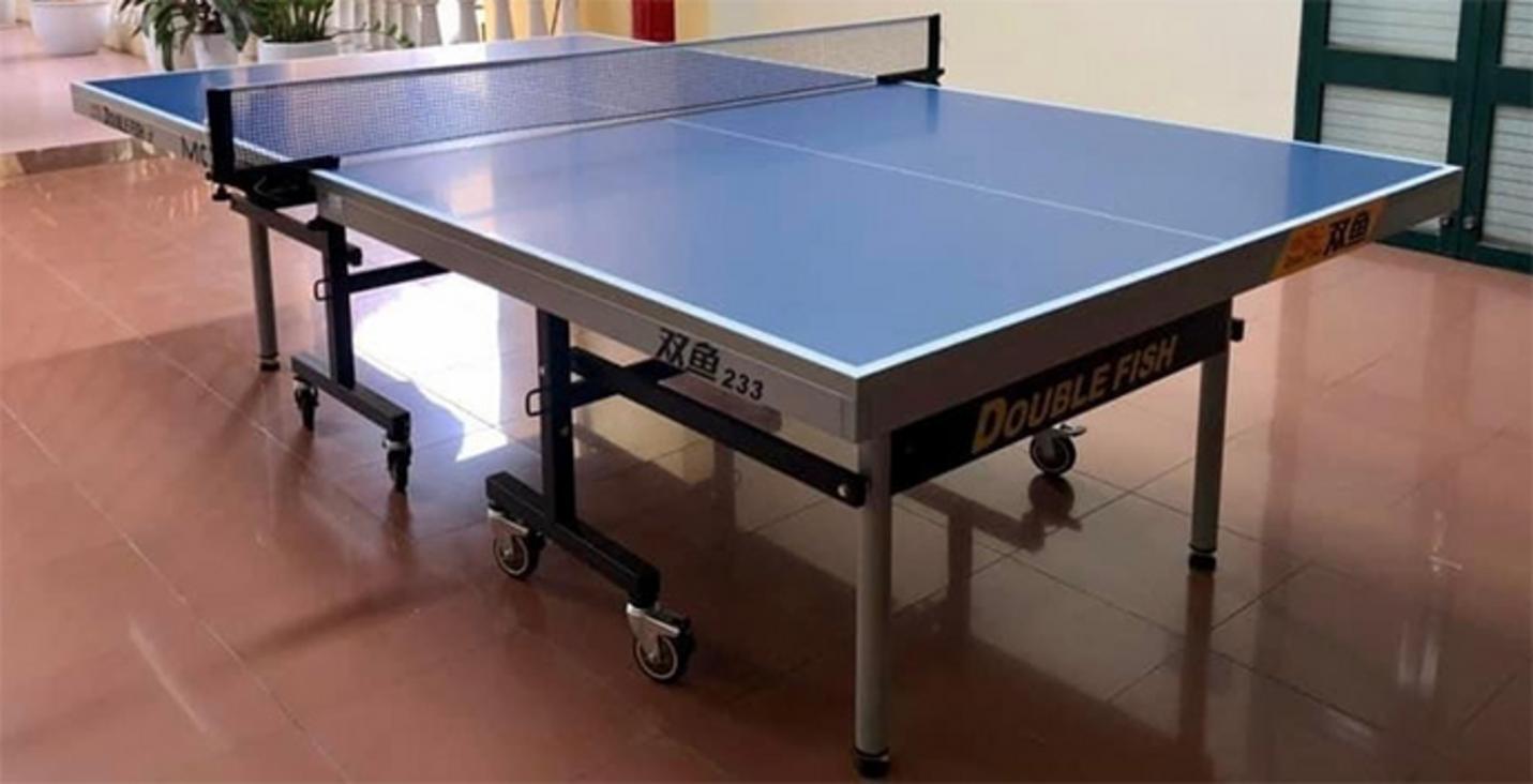 Tổng quan Bàn bóng bàn Double Fish DF-233