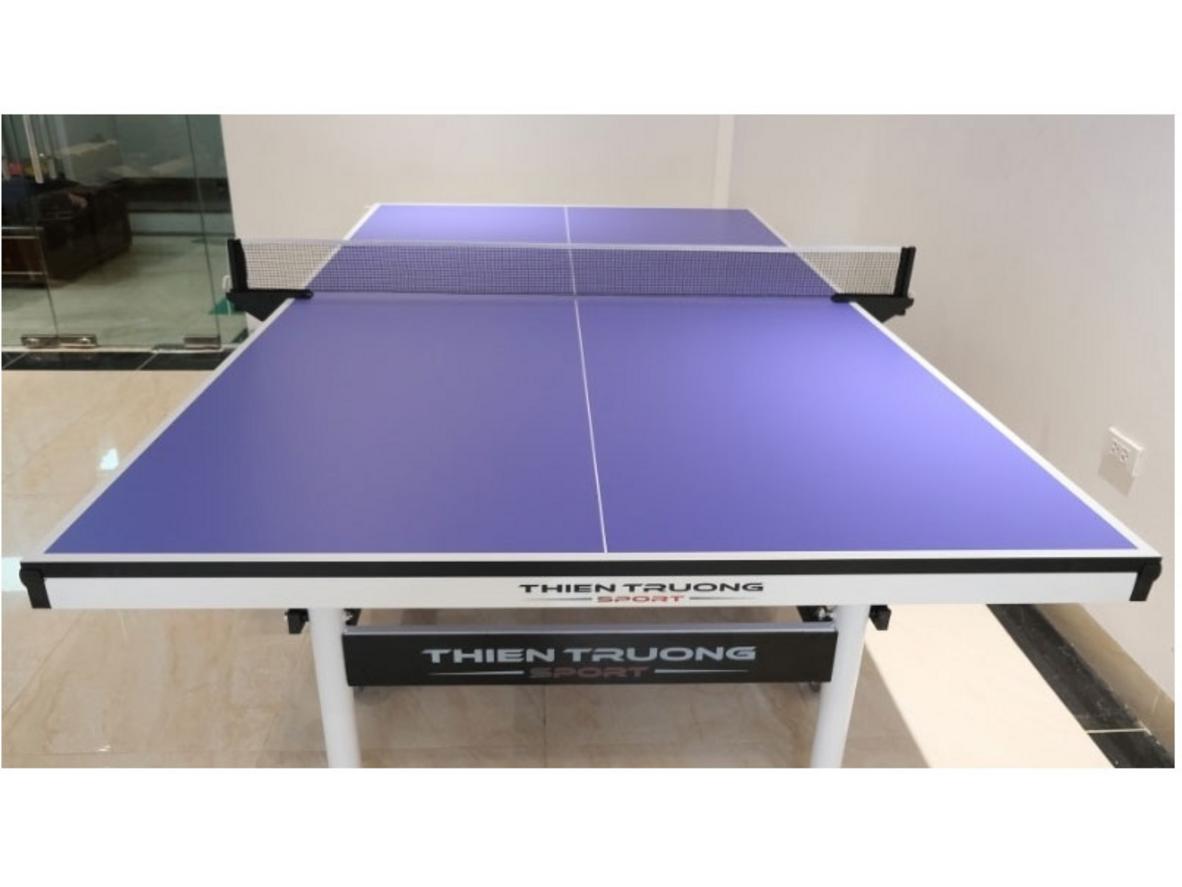 Tổng quan Bàn bóng bàn Harito TT-005