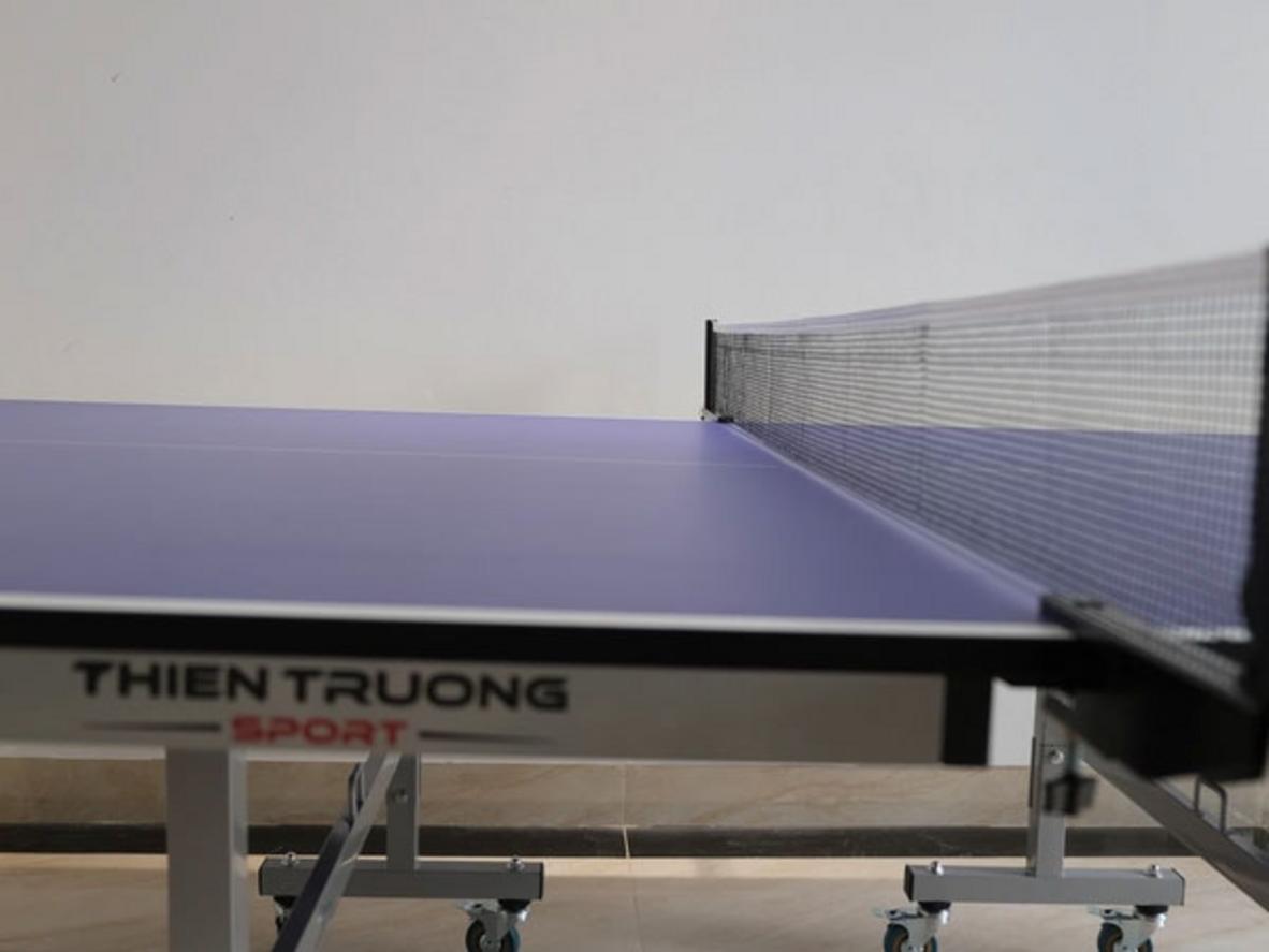 Tổng quan Bàn bóng bàn nhập khẩu Harito TT-168