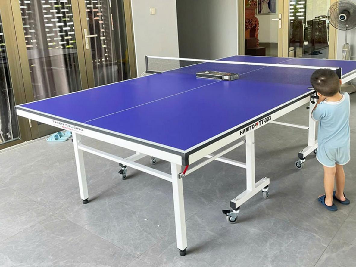 Bánh xe 75mm có chốt hãm và hệ chỉnh cân bằng