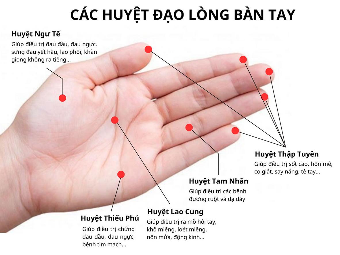Công nghệ EMS & TENS trên điện cực Nevato