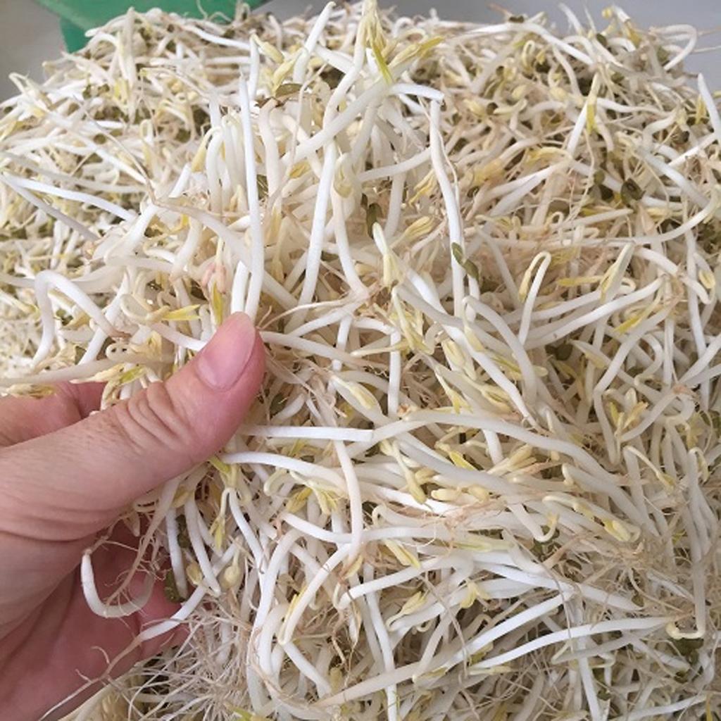 Mạch điều khiển kép & tiết kiệm điện