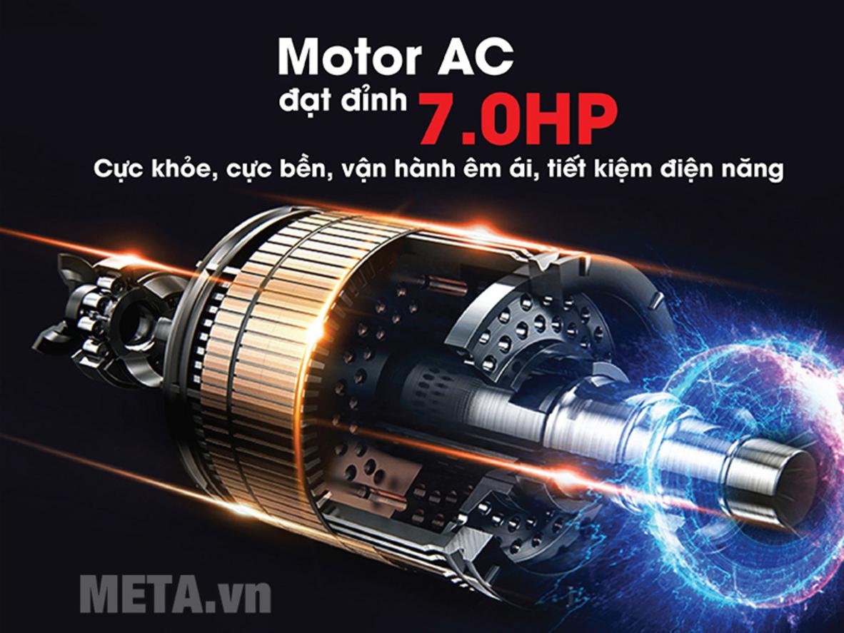 Motor AC 7.0HP của Mofit Senior 6900