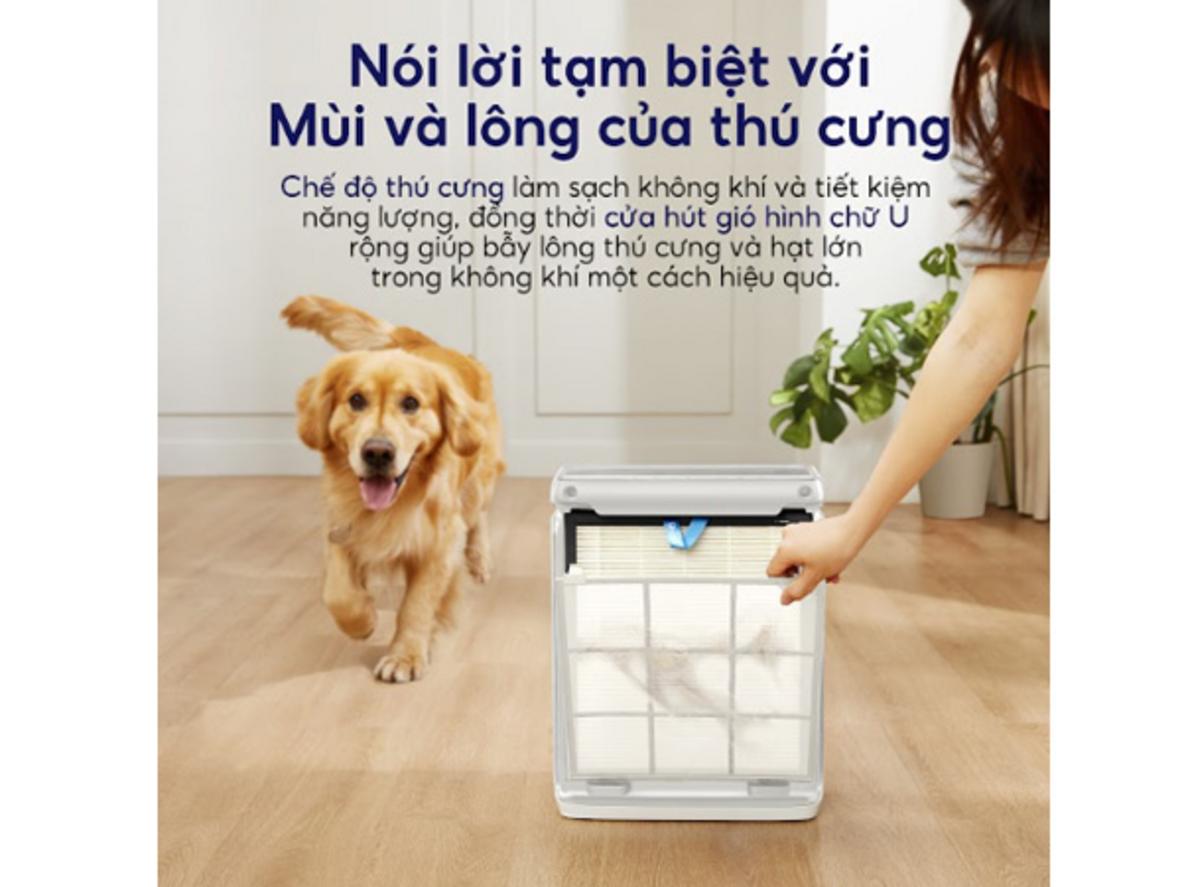 Quyền lợi khách hàng tại Siêu Thị Đại Việt