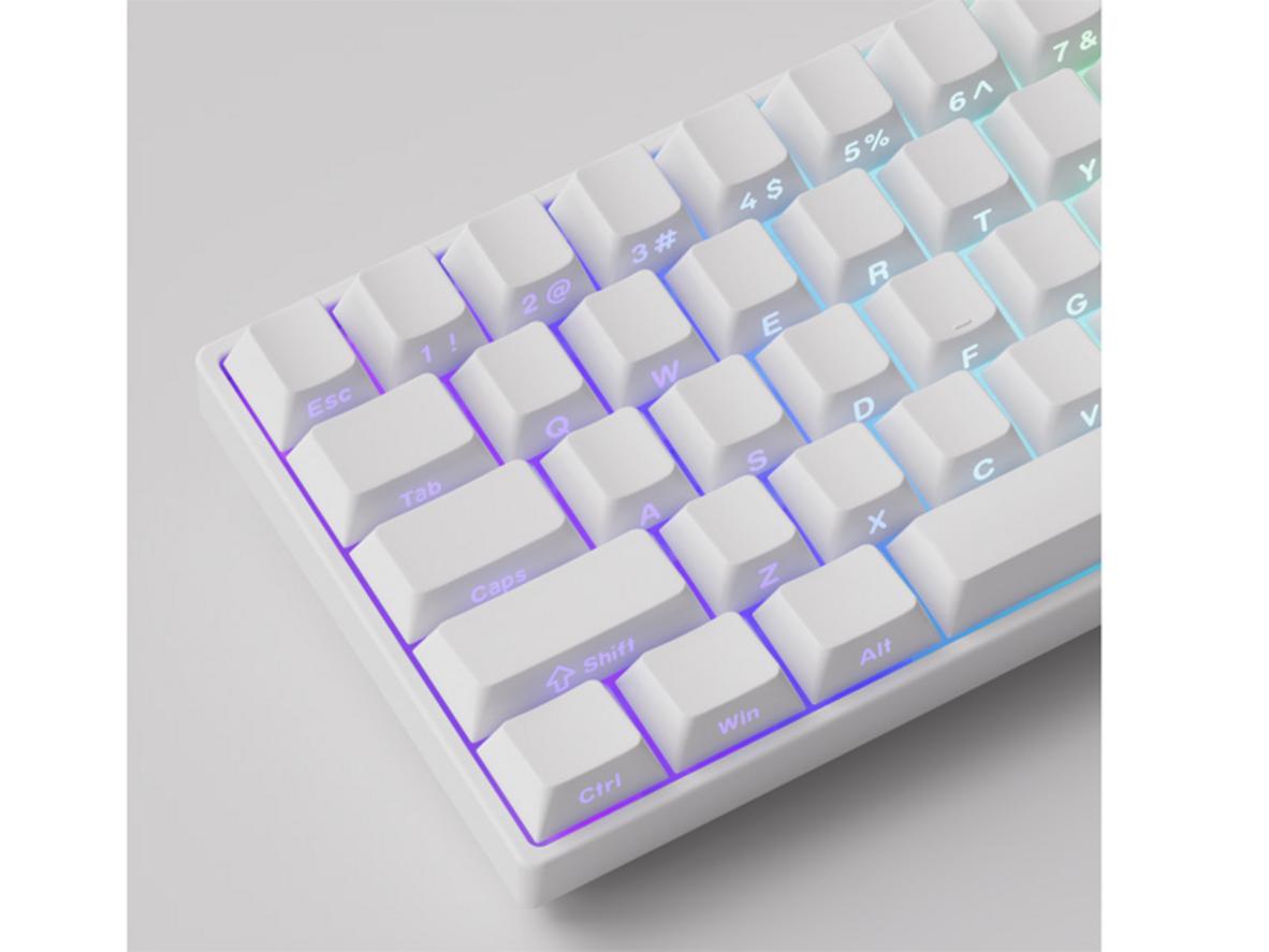 Layout 60% & PBT Shine-through: Nhỏ gọn, đẹp và bền