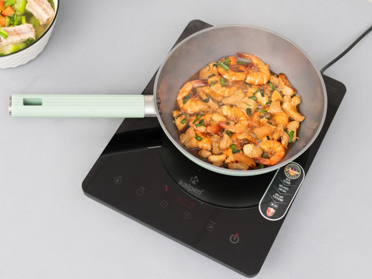 Tổng quan Bếp từ đơn Kalpen IK10