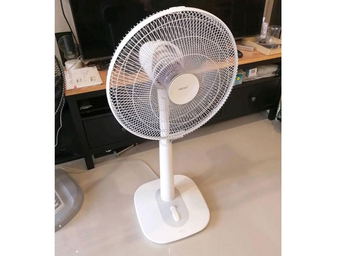 Động cơ bạc đạn cho trải nghiệm êm và bền