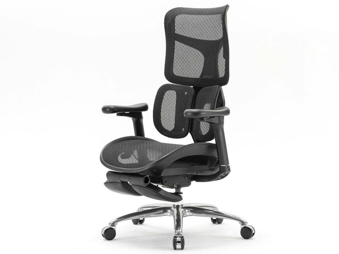 Tổng quan Ghế công thái học Sihoo S100