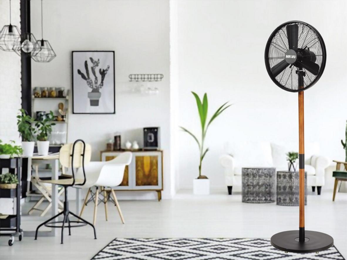 Kích thước và độ an toàn của Quạt cây Windy