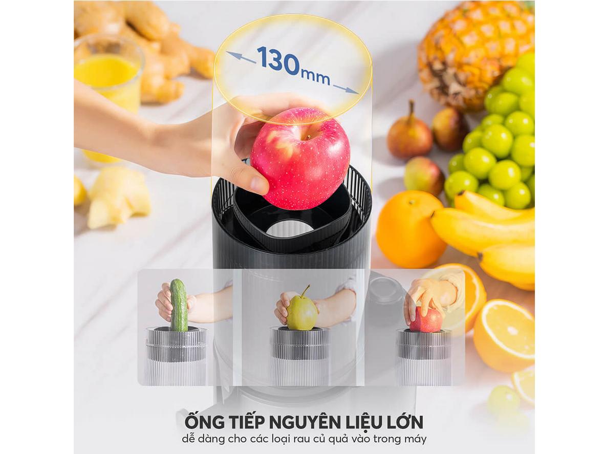 Tổng quan Máy ép chậm Elmich JEE-8758