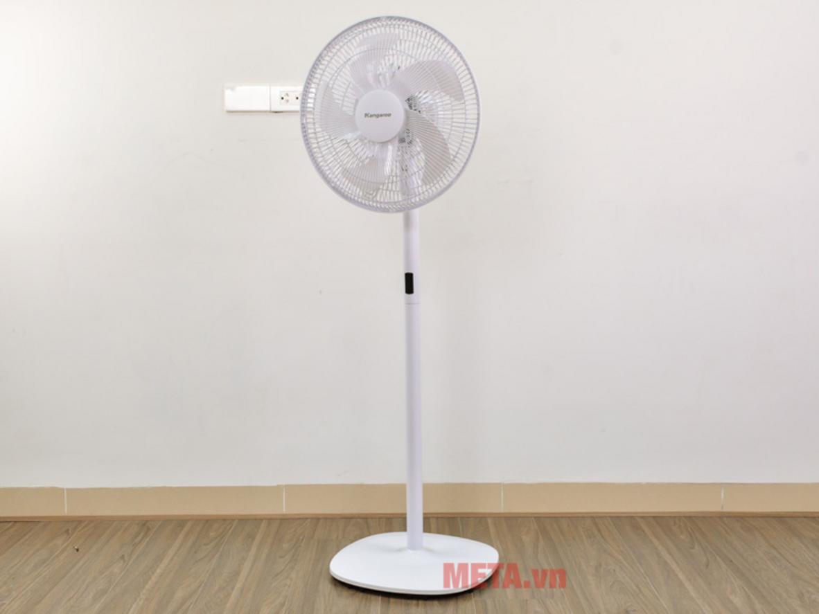 Quyền lợi khách hàng tại Siêu Thị Đại Việt