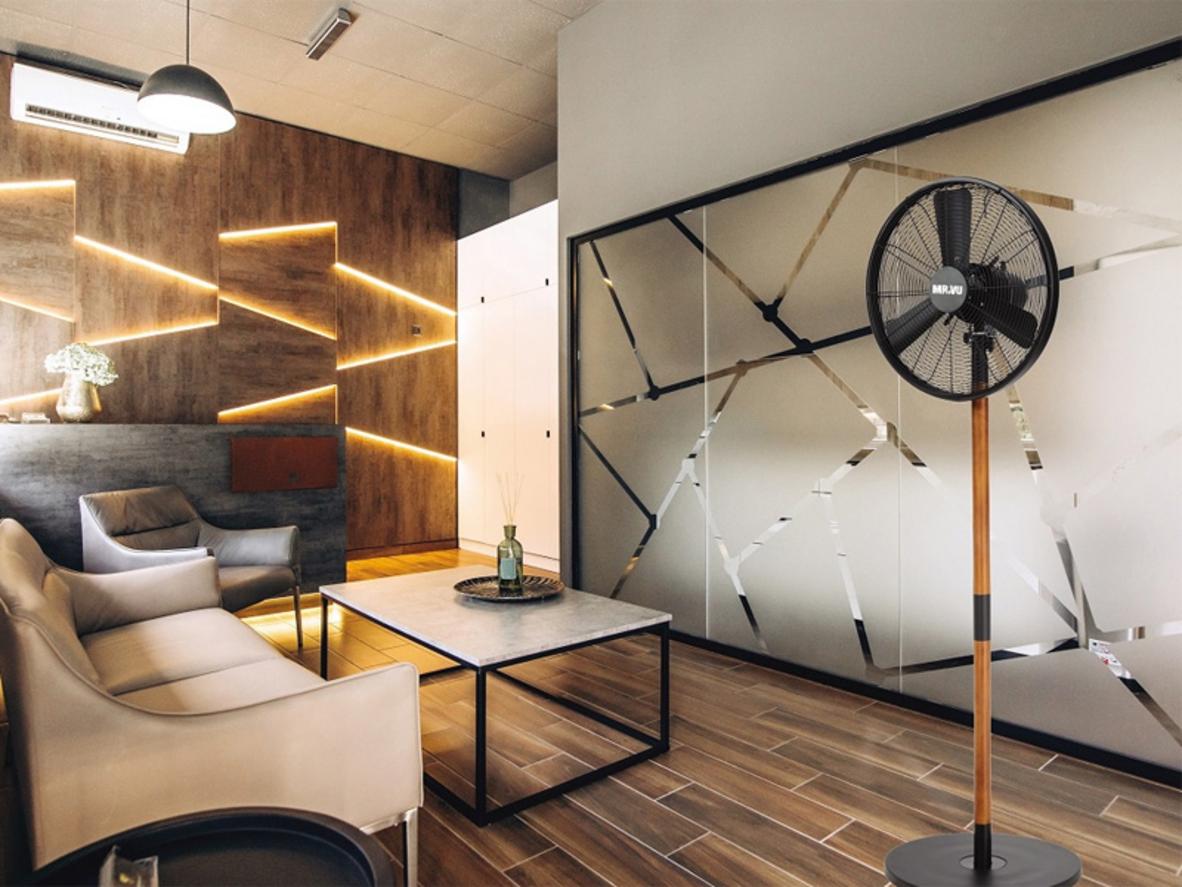 Thân gỗ cao cấp của Quạt cây Windy