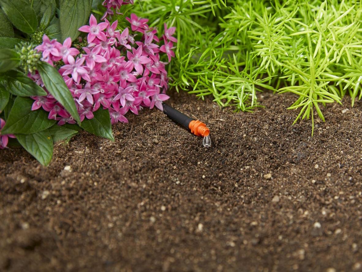 Kim vệ sinh giúp làm sạch cặn bẩn bên trong đầu tưới, duy trì lưu lượng ổn định.