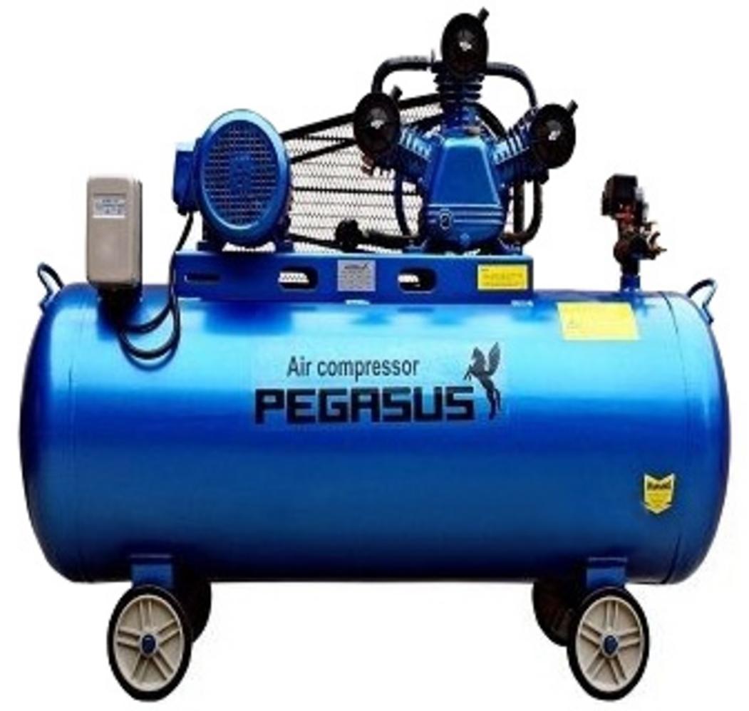 Tổng quan Máy nén khí dây đai Pegasus TM-W-1.0/8
