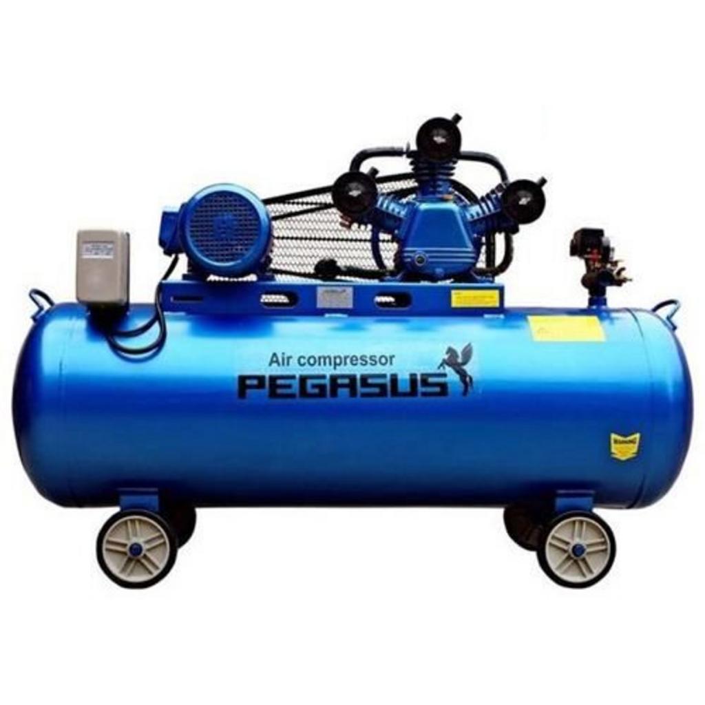 Tổng quan Máy nén khí Pegasus TM-W-0.36/8 (220V)