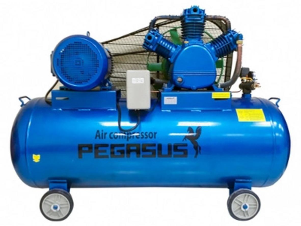Tổng quan Máy nén khí Pegasus TM-W-0.67/8