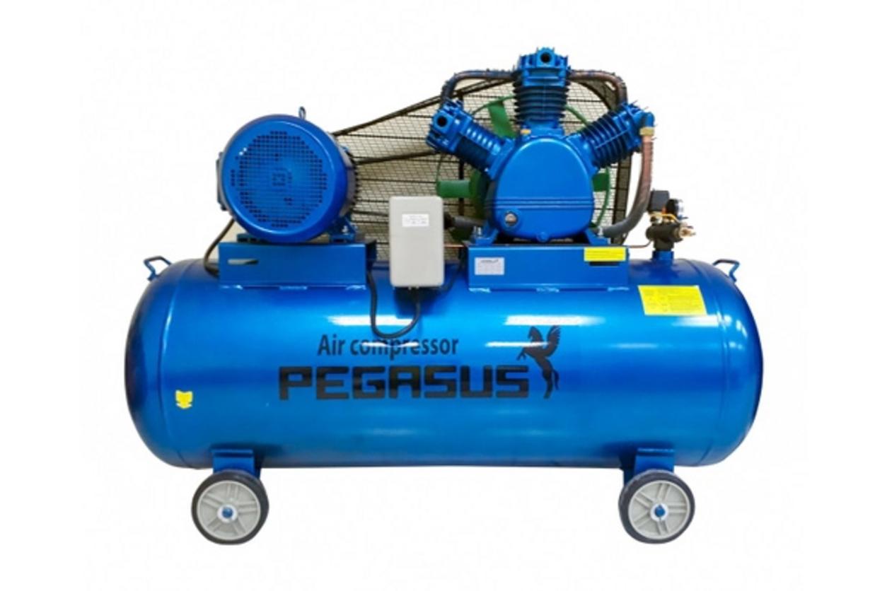 Tổng quan Máy nén khí Pegasus TM-W-0.9/8