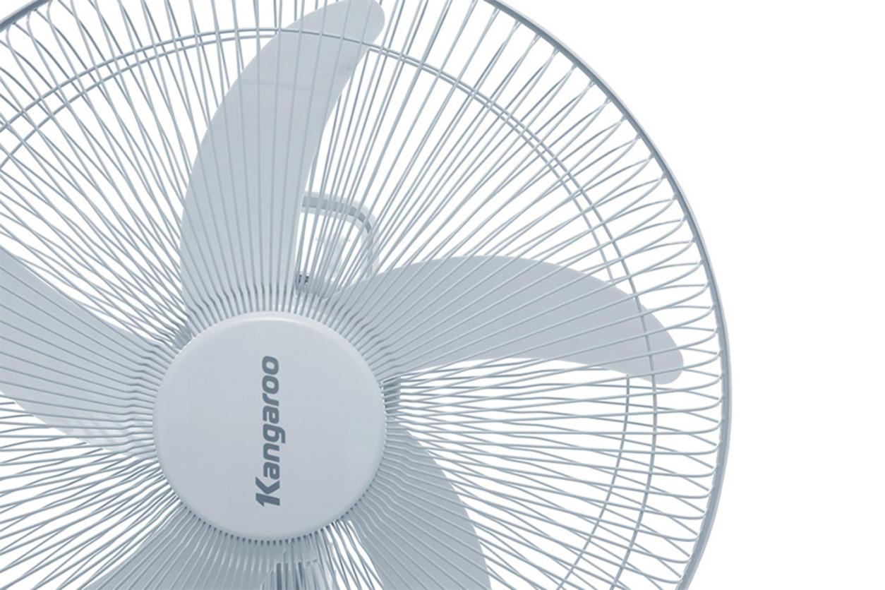 Động cơ DC bạc thau hỗ trợ quạt chạy ổn định và êm hơn.