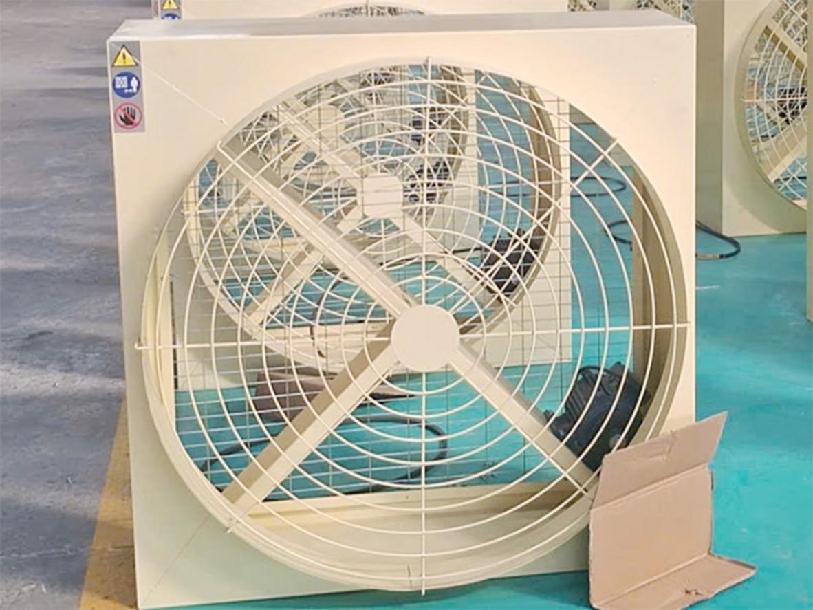 Quạt thông gió công nghiệp iFan 10C 1000x1000mm cho nhà xưởng và trang trại