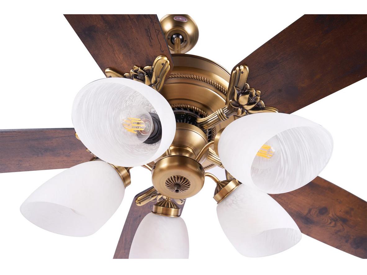 Cánh gỗ Plywood mang lại vẻ đẹp sang trọng cho quạt trần Lotus Plus.