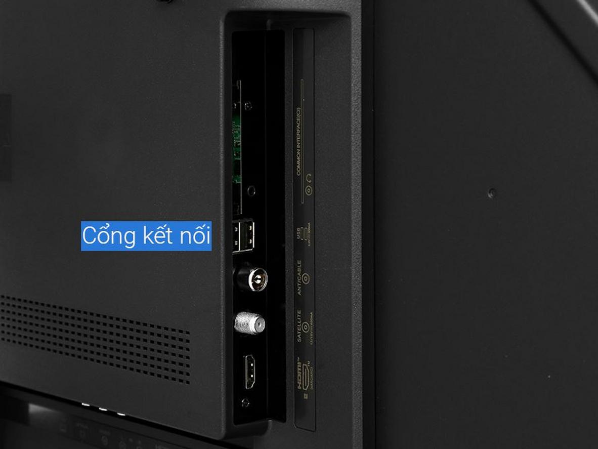 Google TV và Google Assistant tiếng Việt giúp AQT55S800UX dễ dùng cho cả gia đình.