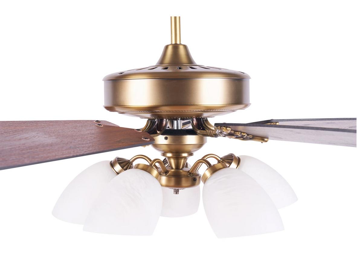 Lotus Plus kết hợp làm mát và chiếu sáng trang trí trong một thiết bị.